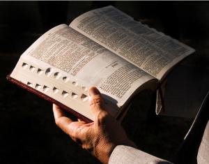wallpaper-lendo-a-biblia-5062